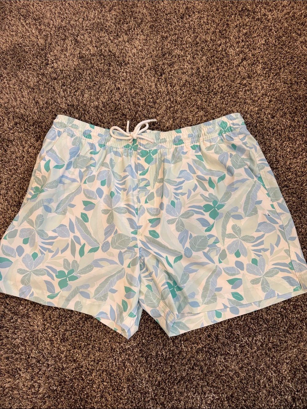 American Eagle Outfitters Leaf-Pattern Swim Shorts in Light Blue & Teal